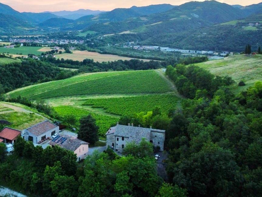 Tenuta Folesano Wine Estate 13Th Century 马尔扎博托 外观 照片