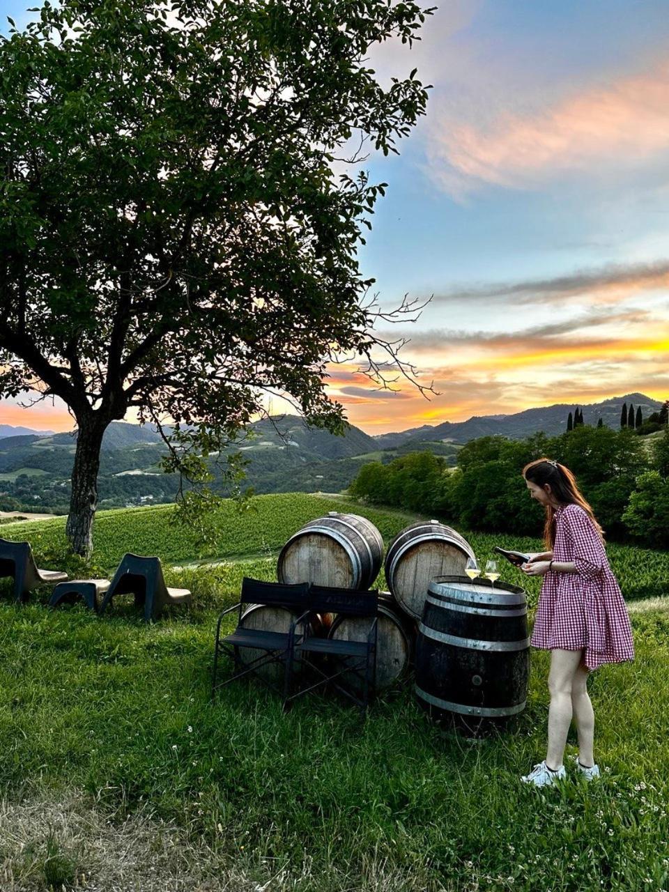 Tenuta Folesano Wine Estate 13Th Century 马尔扎博托 外观 照片